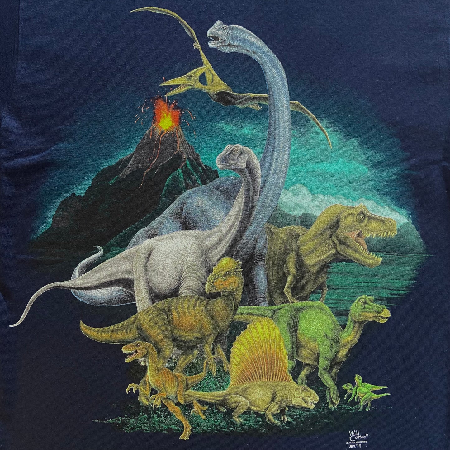 Prehistoric Life T-Shirt, Adult