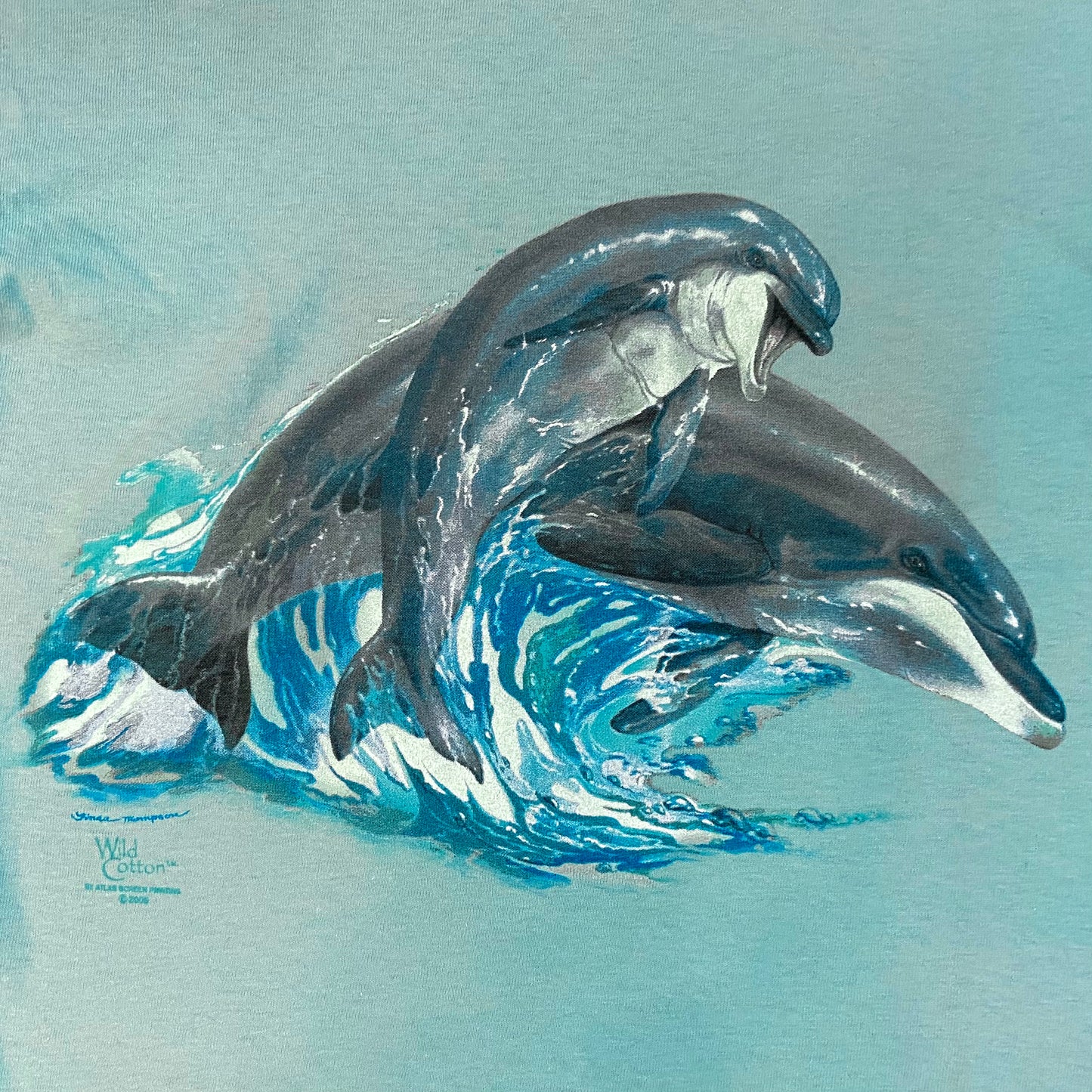 Dolphin T-Shirt, Youth