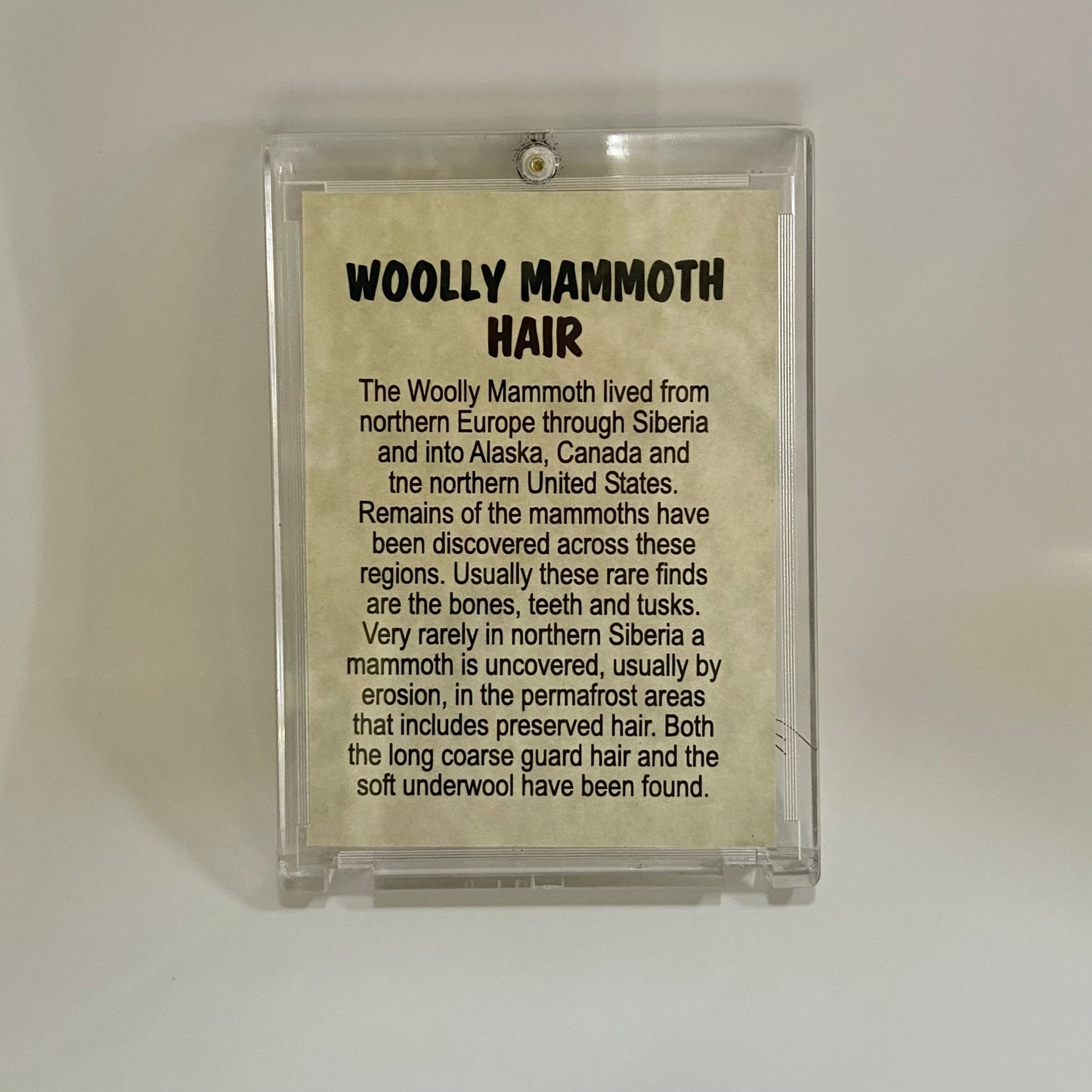 Mammoth Hair