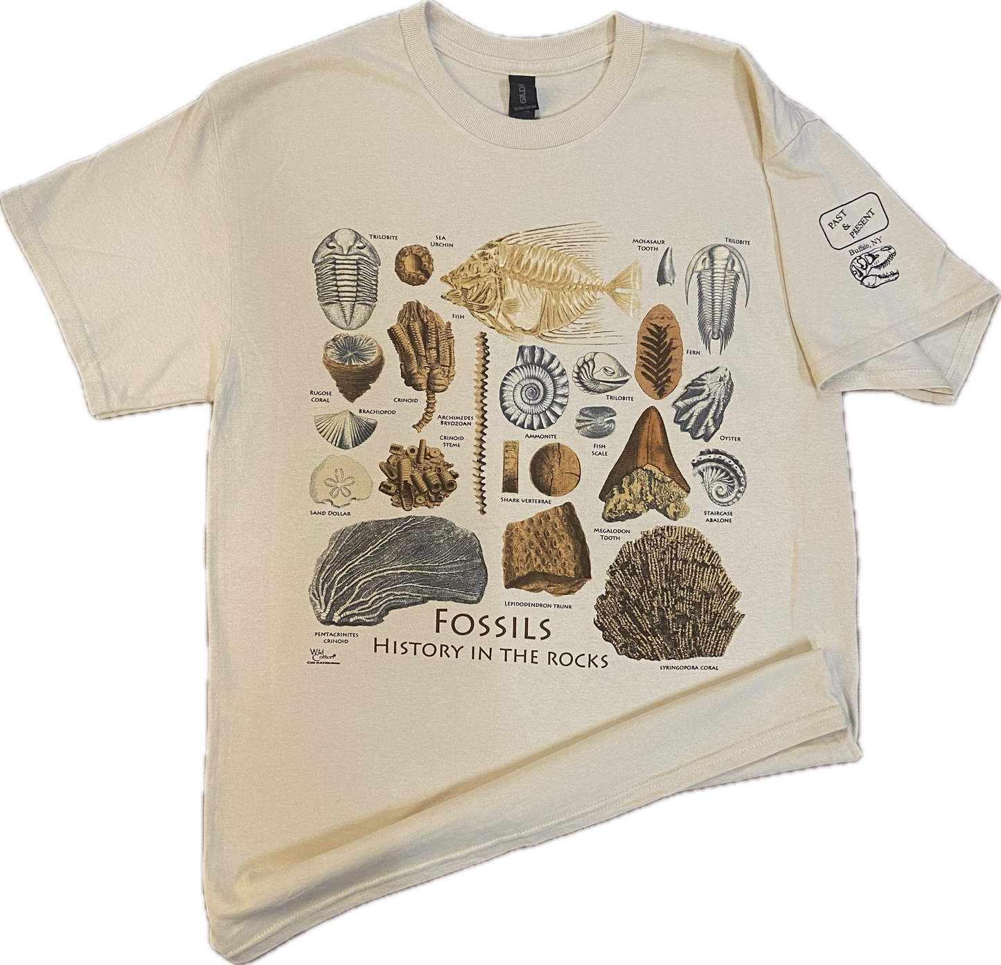 Fossil History T-Shirt, Adult