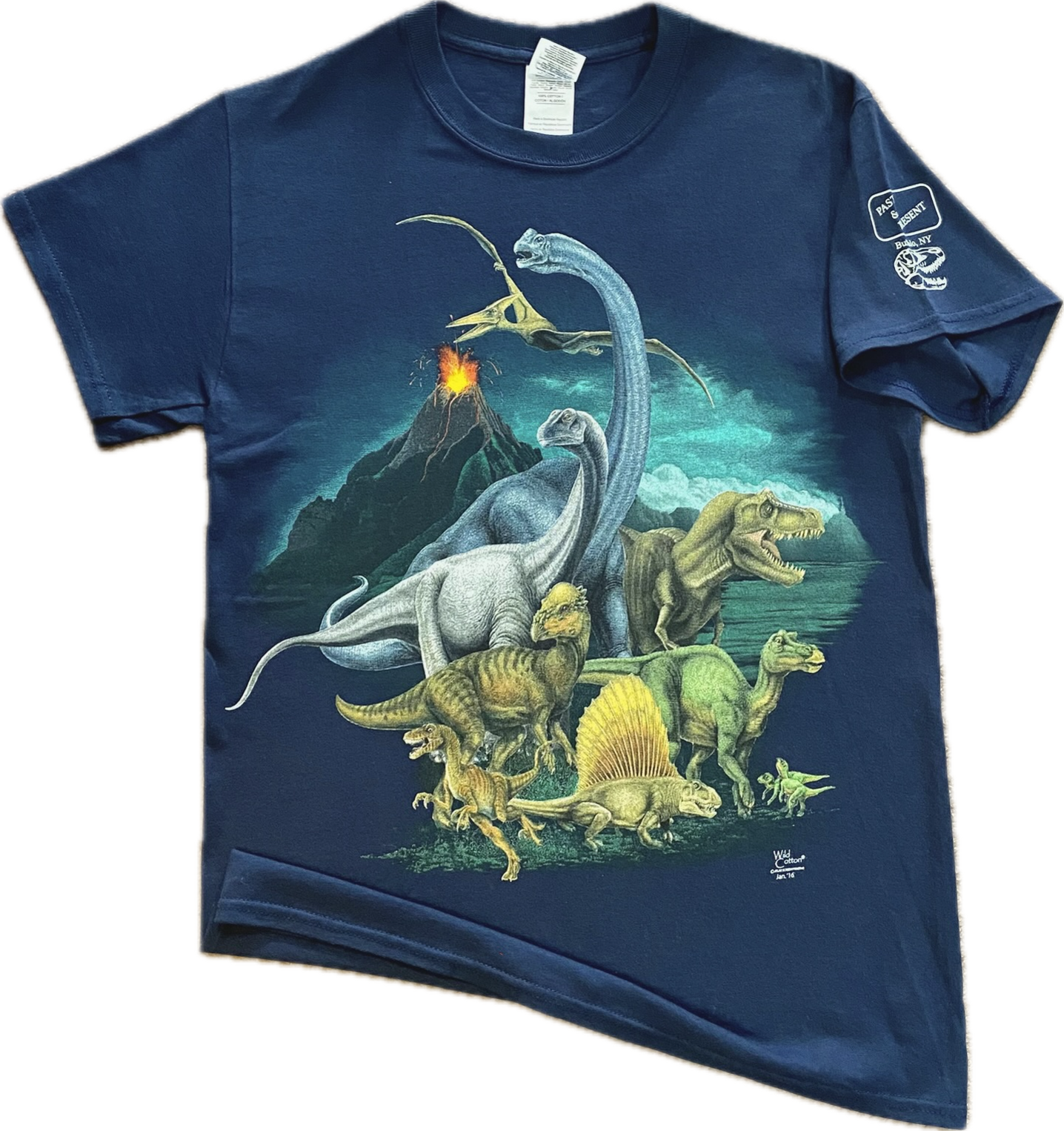 Prehistoric Life T-Shirt, Adult