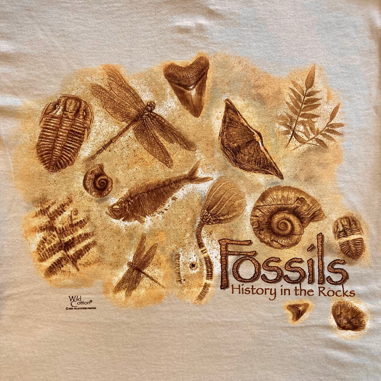 Fossils T-Shirt, Adult