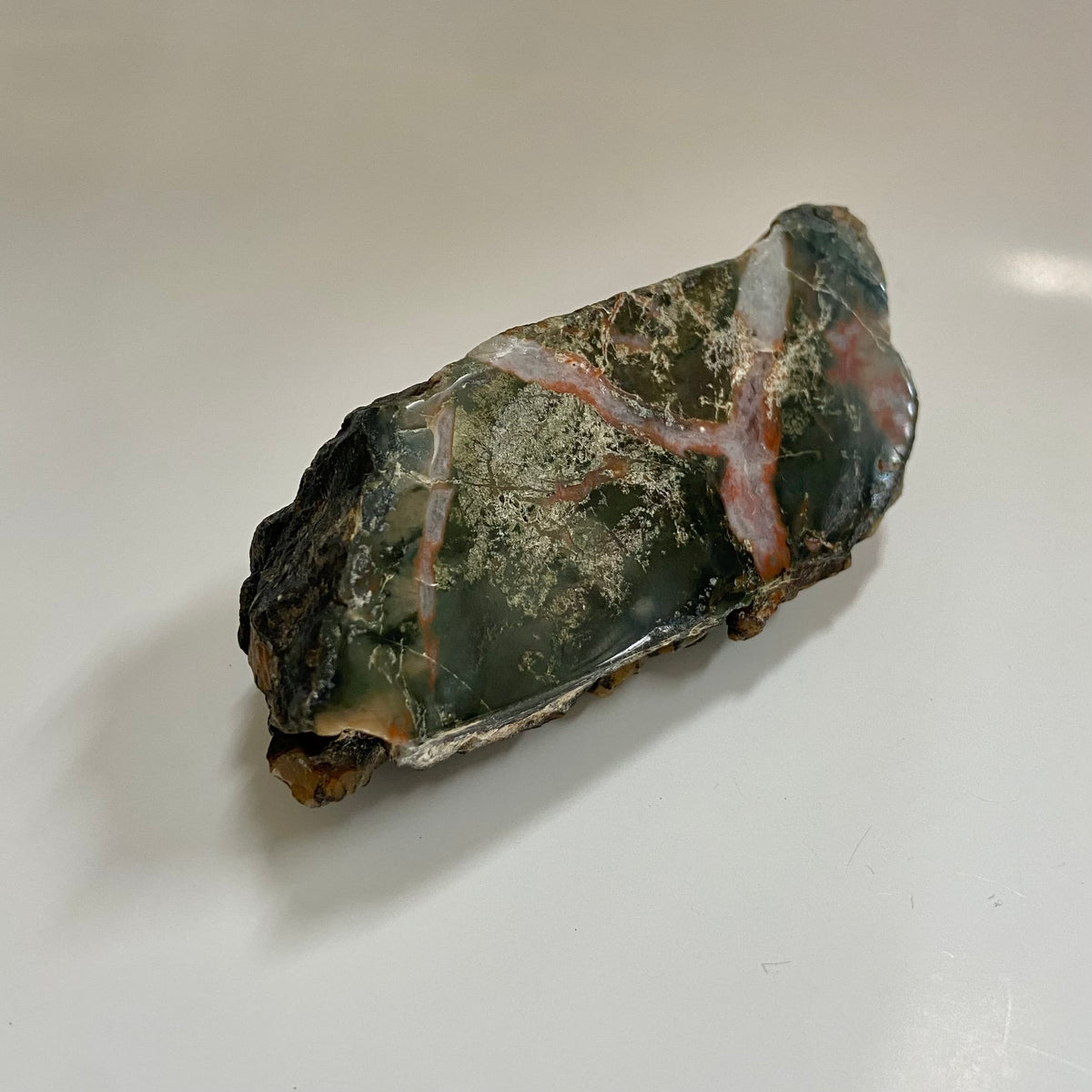 Dinosaur Coprolite