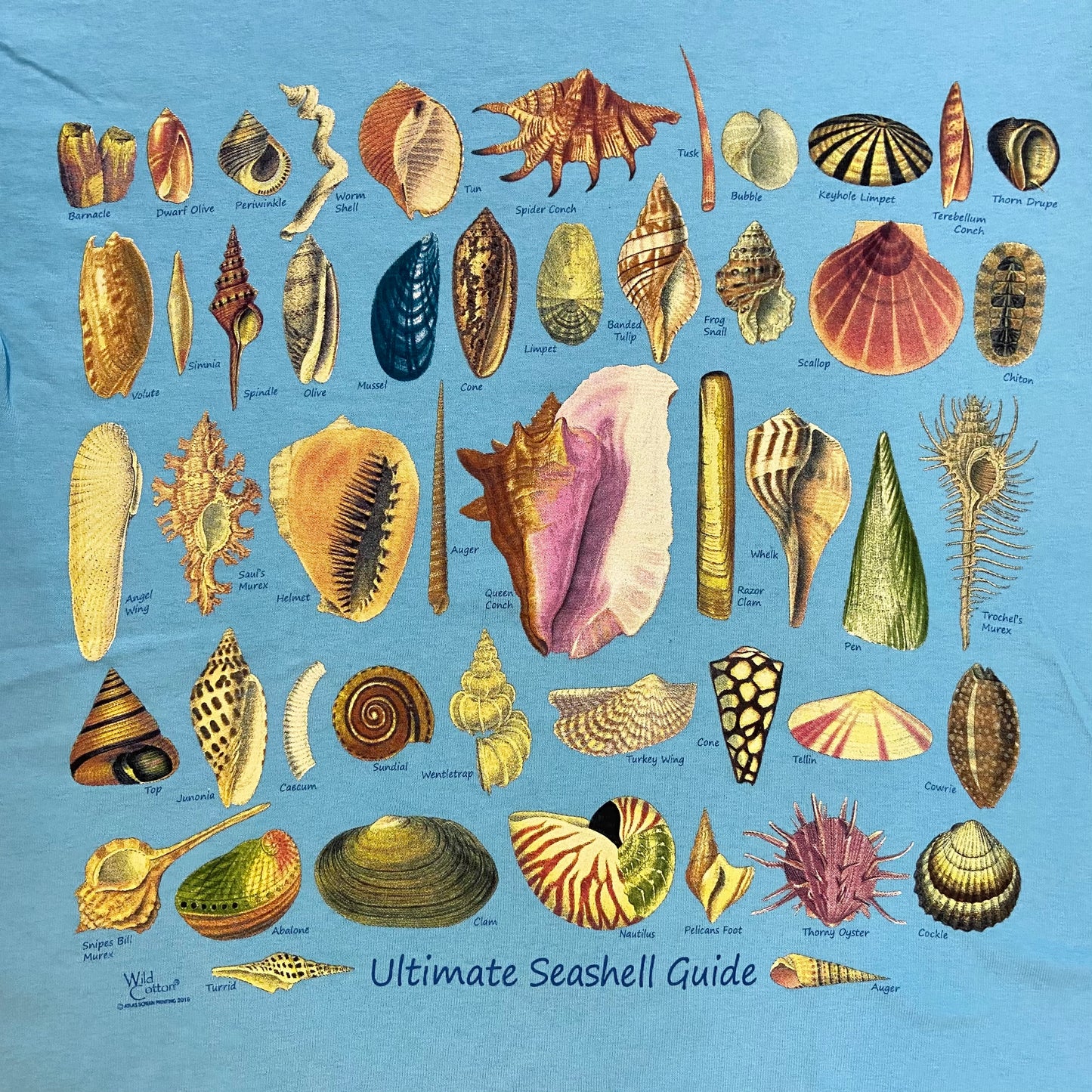 Ultimate Seashell Guide T-Shirt, Adult