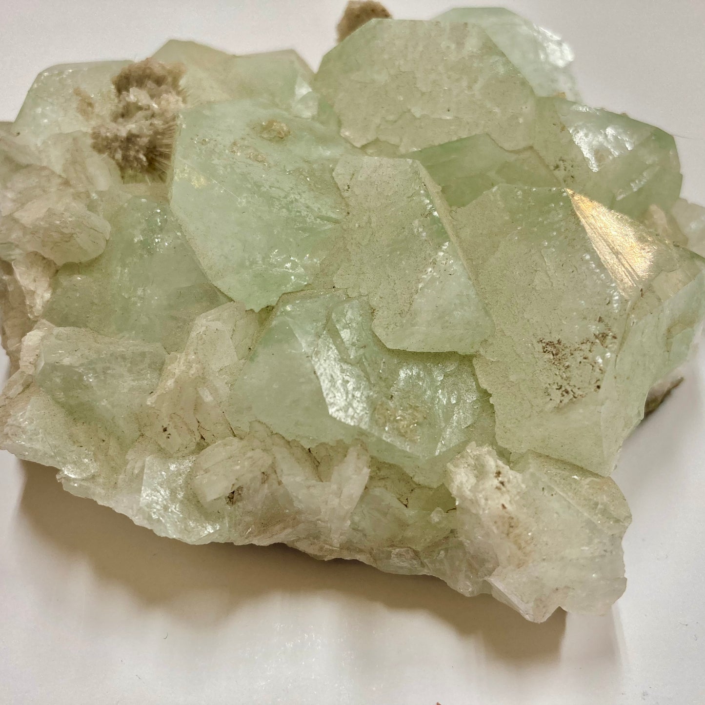 Apophyllite