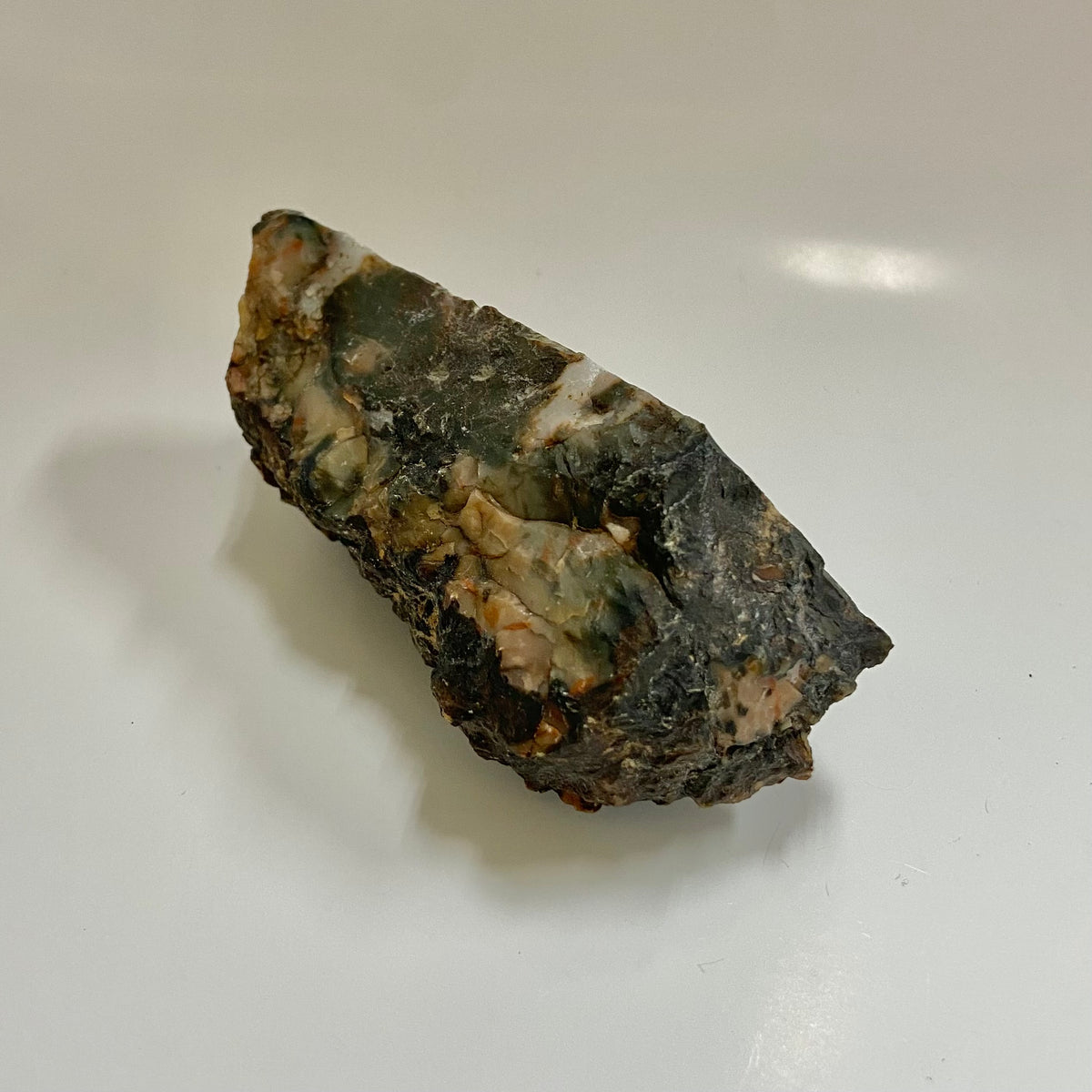 Dinosaur Coprolite