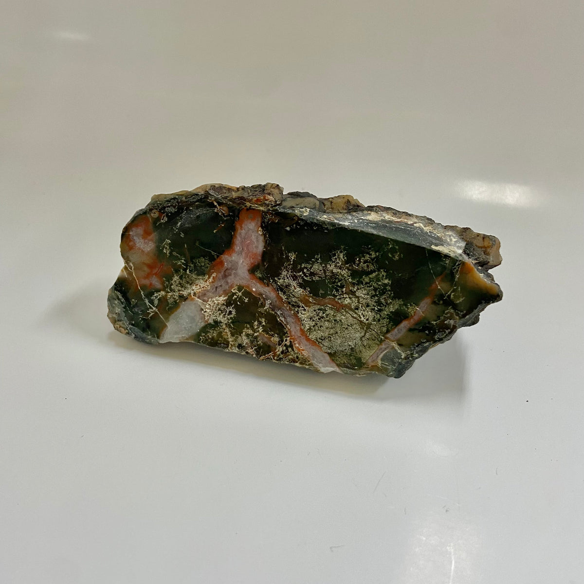 Dinosaur Coprolite