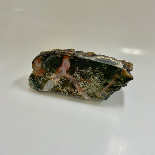 Dinosaur Coprolite