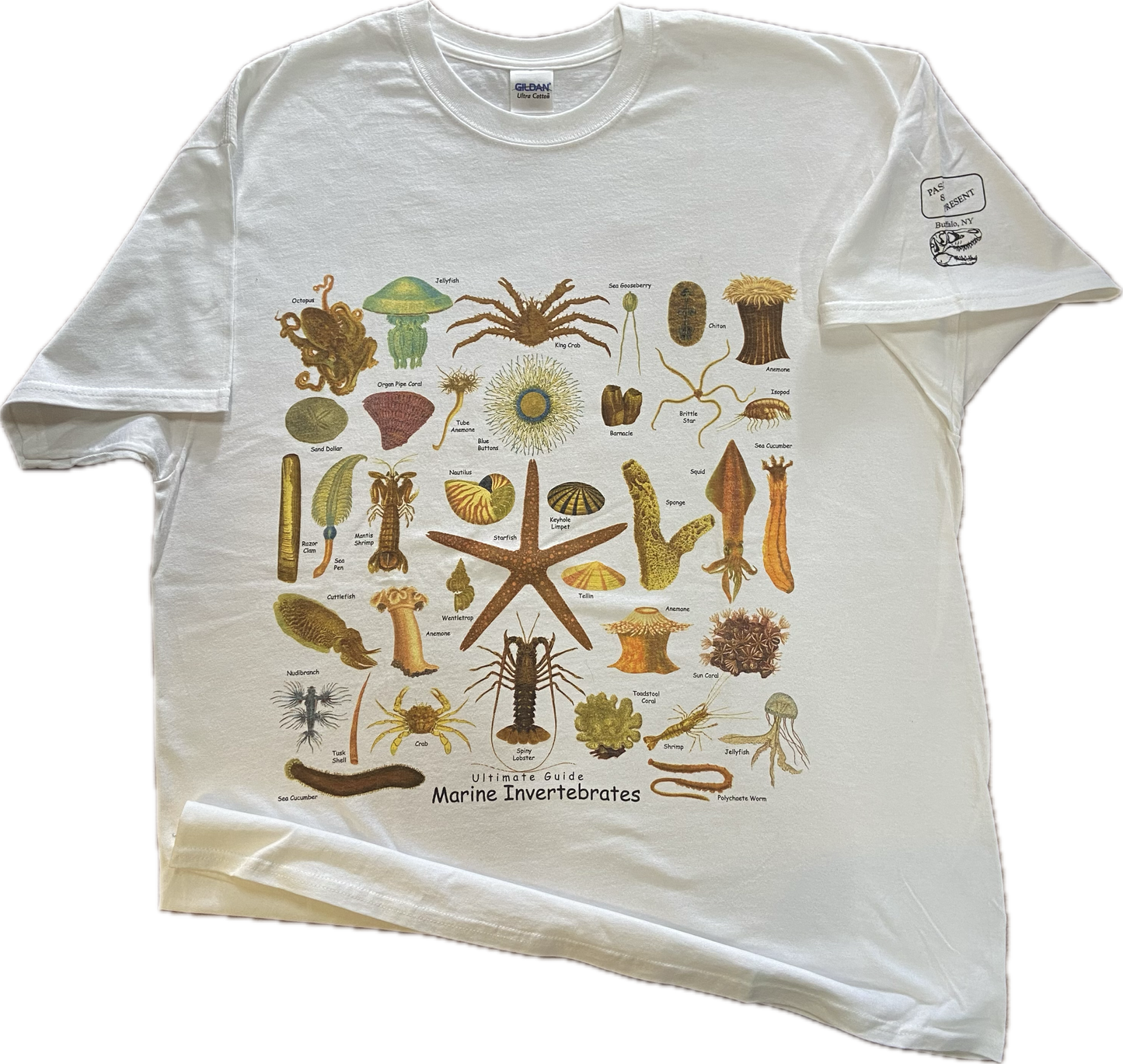 Ultimate Marine Invertebrates Guide T-shirt, Adult