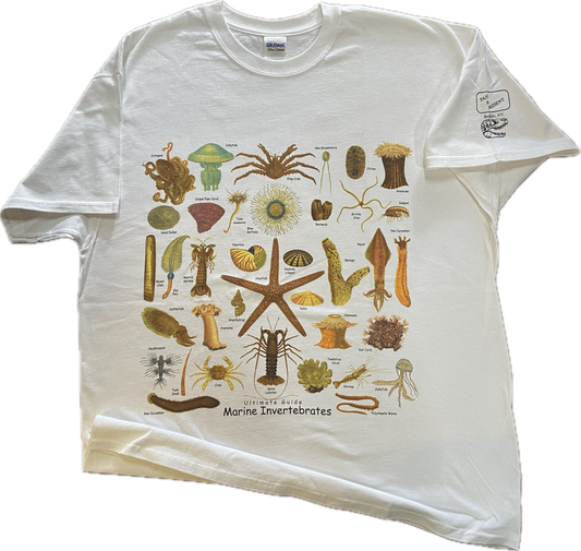 Ultimate Marine Invertebrates Guide T-shirt, Adult