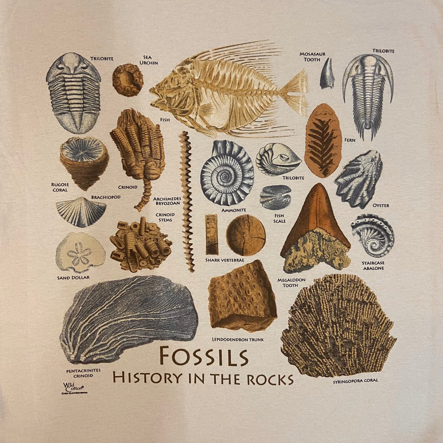 Fossil History T-Shirt, Adult
