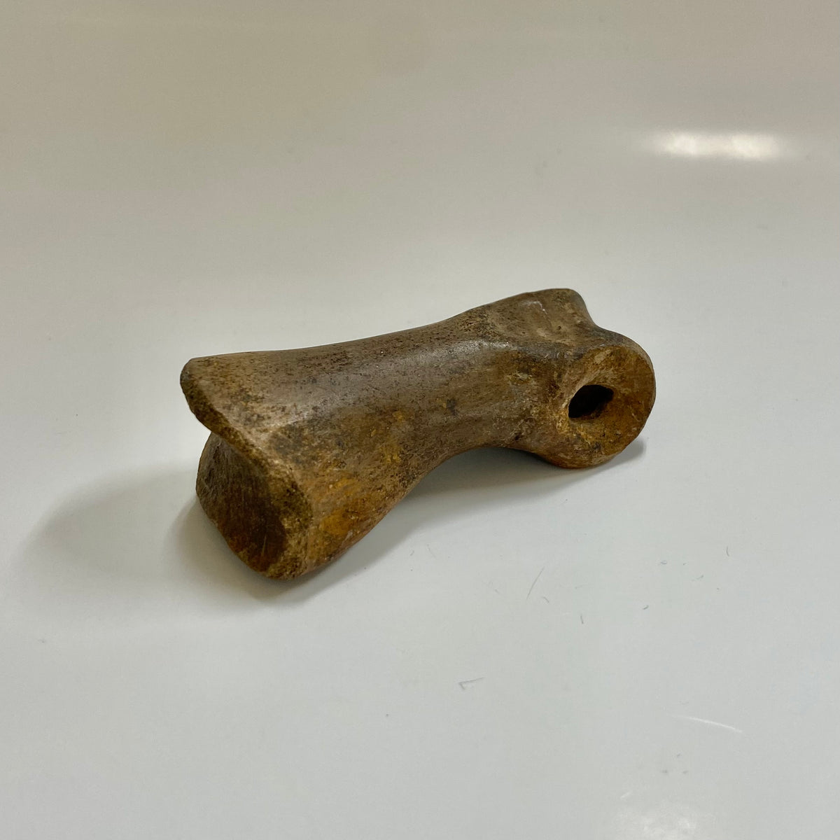 Struthiomimus Metatarsal Toe Bone