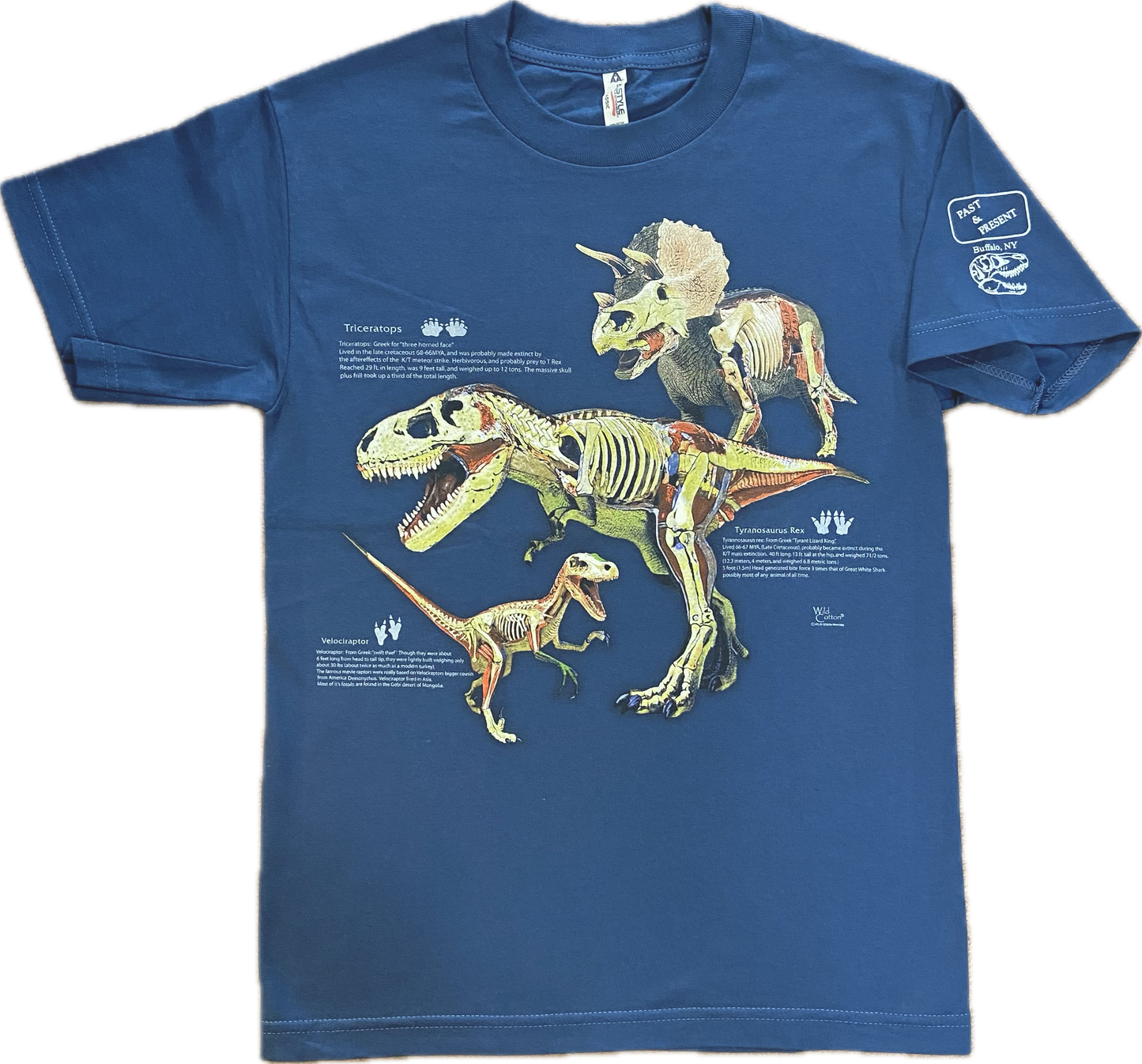 Dino Anatomy T-shirt, Adult