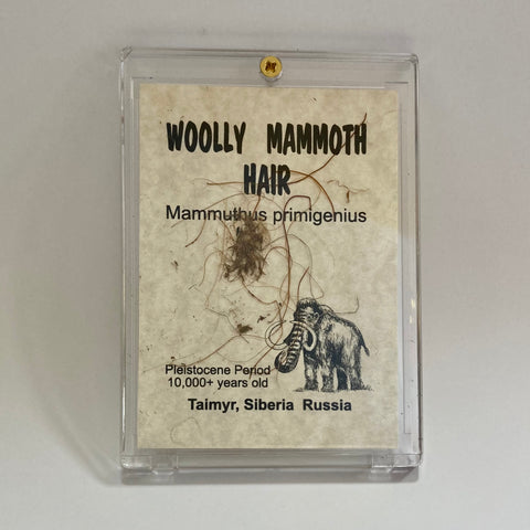 Mammoth Hair