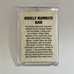 Mammoth Hair