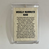 Mammoth Hair