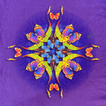 Butterfly Kaleidoscope Sweatshirt, Adult