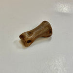 Struthiomimus Finger Bone