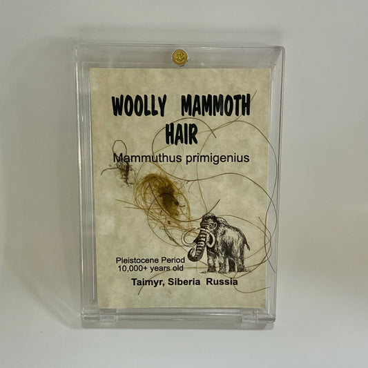 Mammoth Hair
