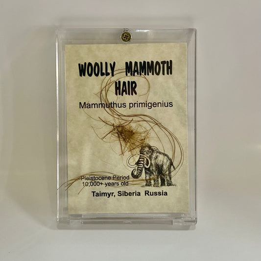 Mammoth Hair