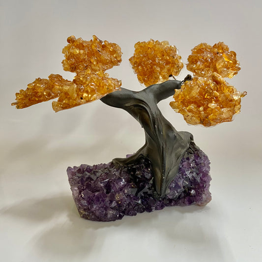 Citrine Gem Tree on Amethyst Base