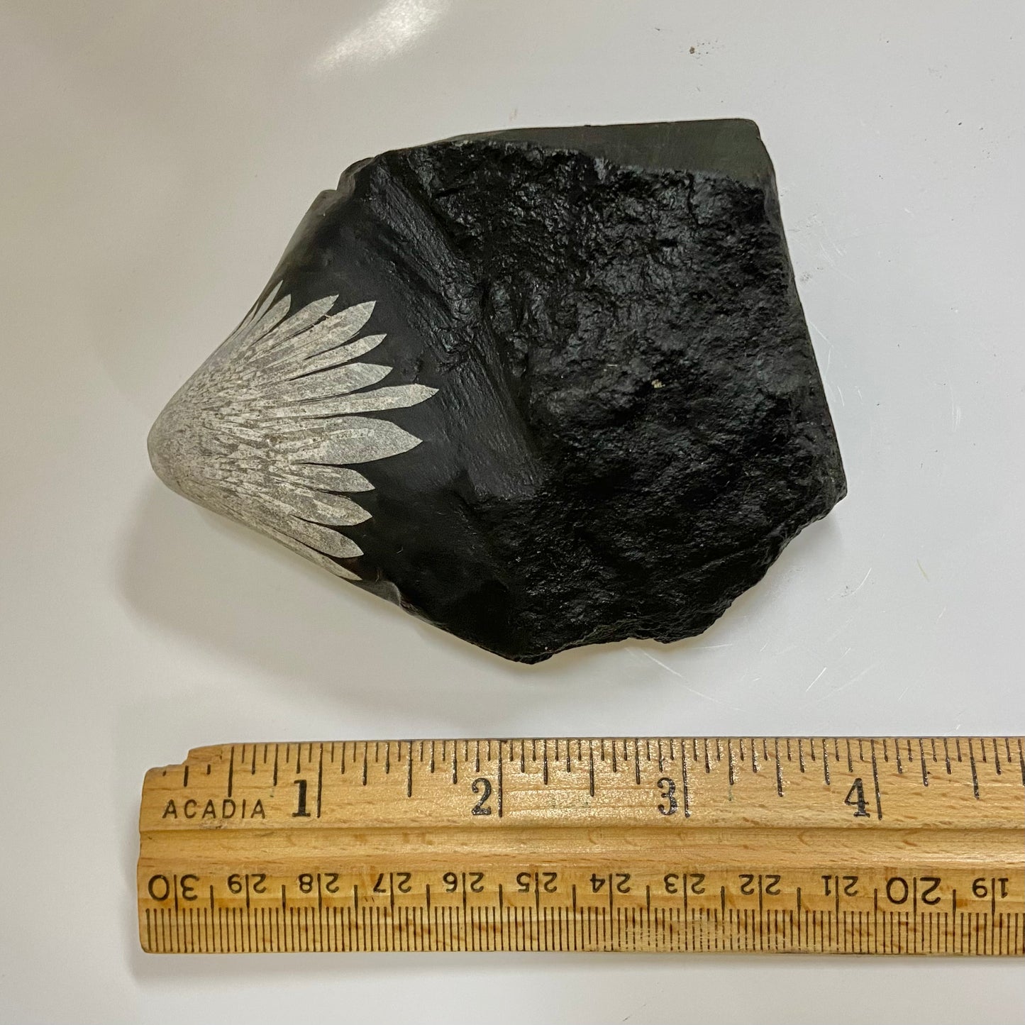 Chrysanthemum Stone