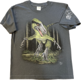 Feathered Velociraptor T-Shirt, Youth