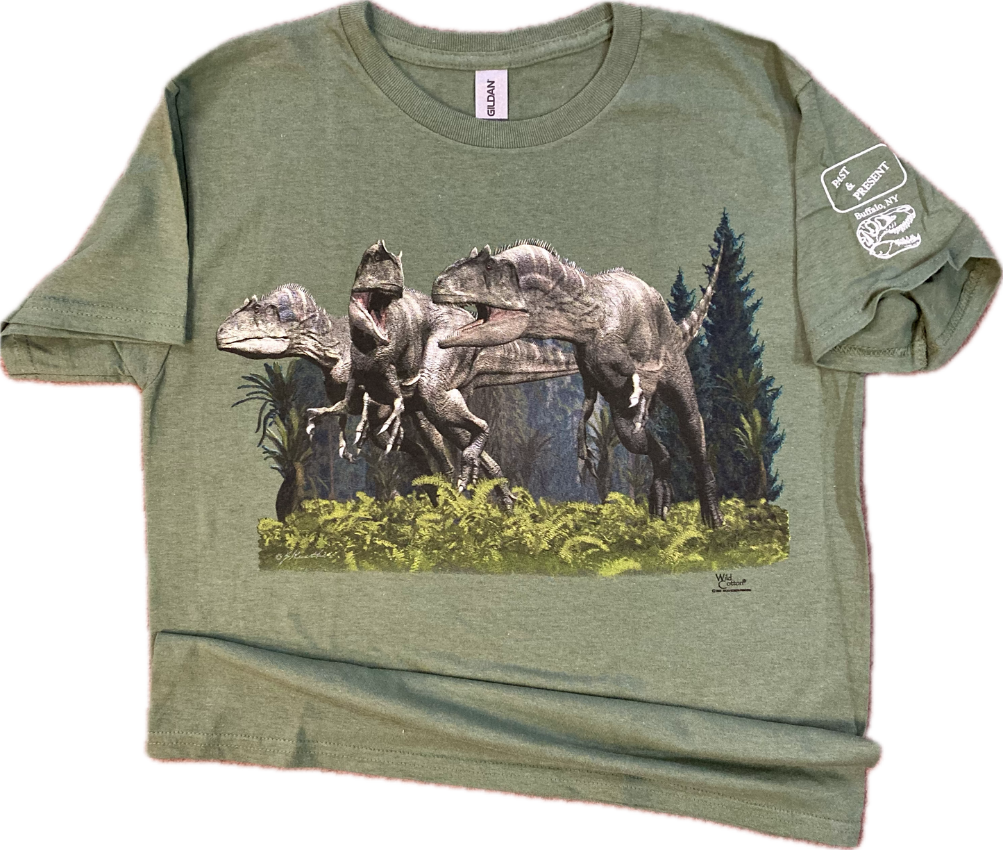 Allosaurus Pack T-Shirt, Youth