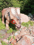 Ceratopsian Epijugal (Armored Cheek Plate)