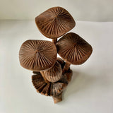 Hand-carved Jempinis Wood Mushroom