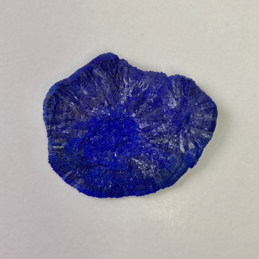 Azurite Sun in Kaolinitic Siltstone/Sandstone