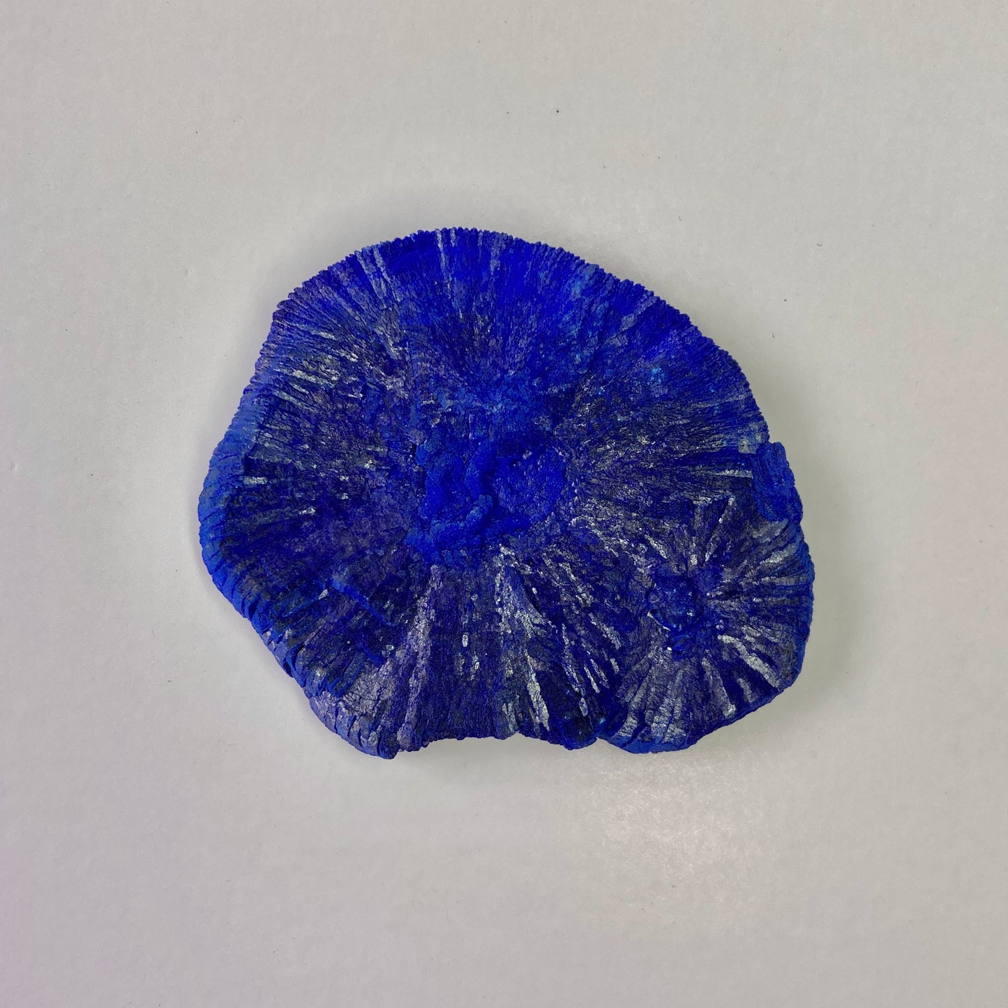 Azurite Sun in Kaolinitic Siltstone/Sandstone