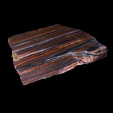 Petrified Wood - Arizona