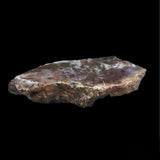 Dinosaur Coprolite