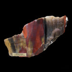 Petrified Wood - Arizona