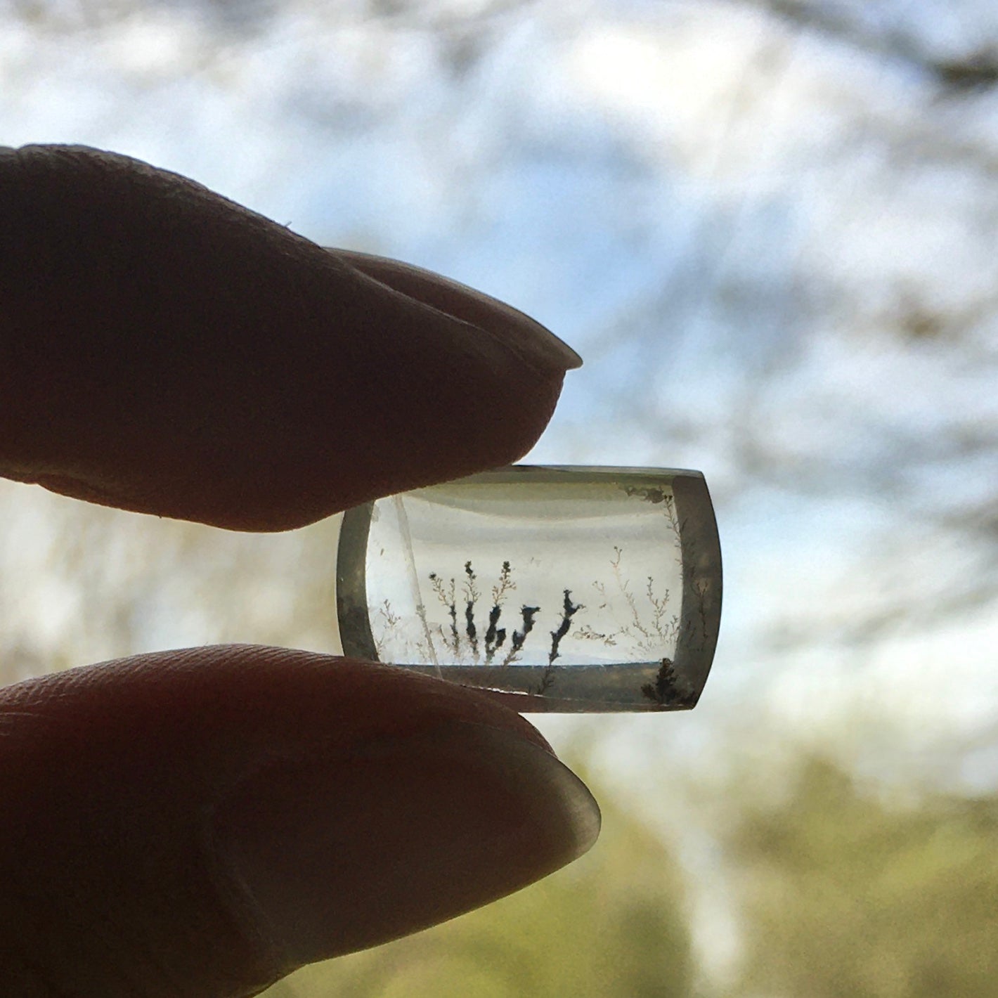 Dendritic Quartz