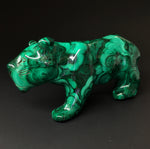 Malachite Lioness