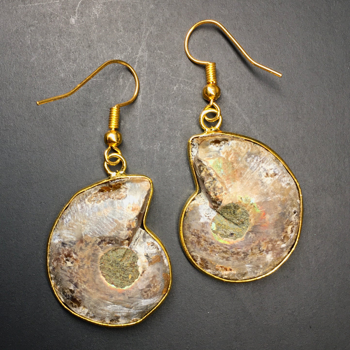 Gold-Plated Ammonite Earrings