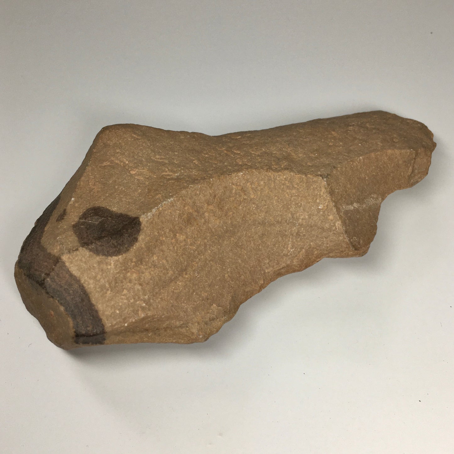 Homo erectus Hand Axe