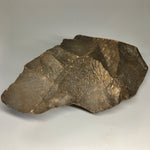 Homo erectus Hand Axe