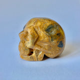 Yellow Mustard Jasper Skull