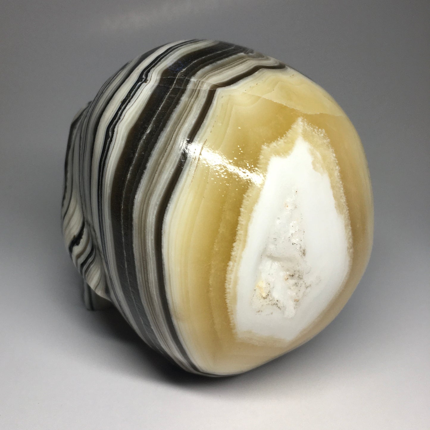 Zebra Onyx Aragonite Skull