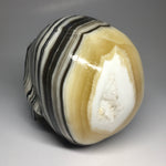 Zebra Onyx Aragonite Skull