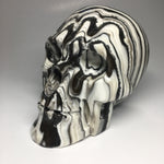 Zebra Onyx Aragonite Skull