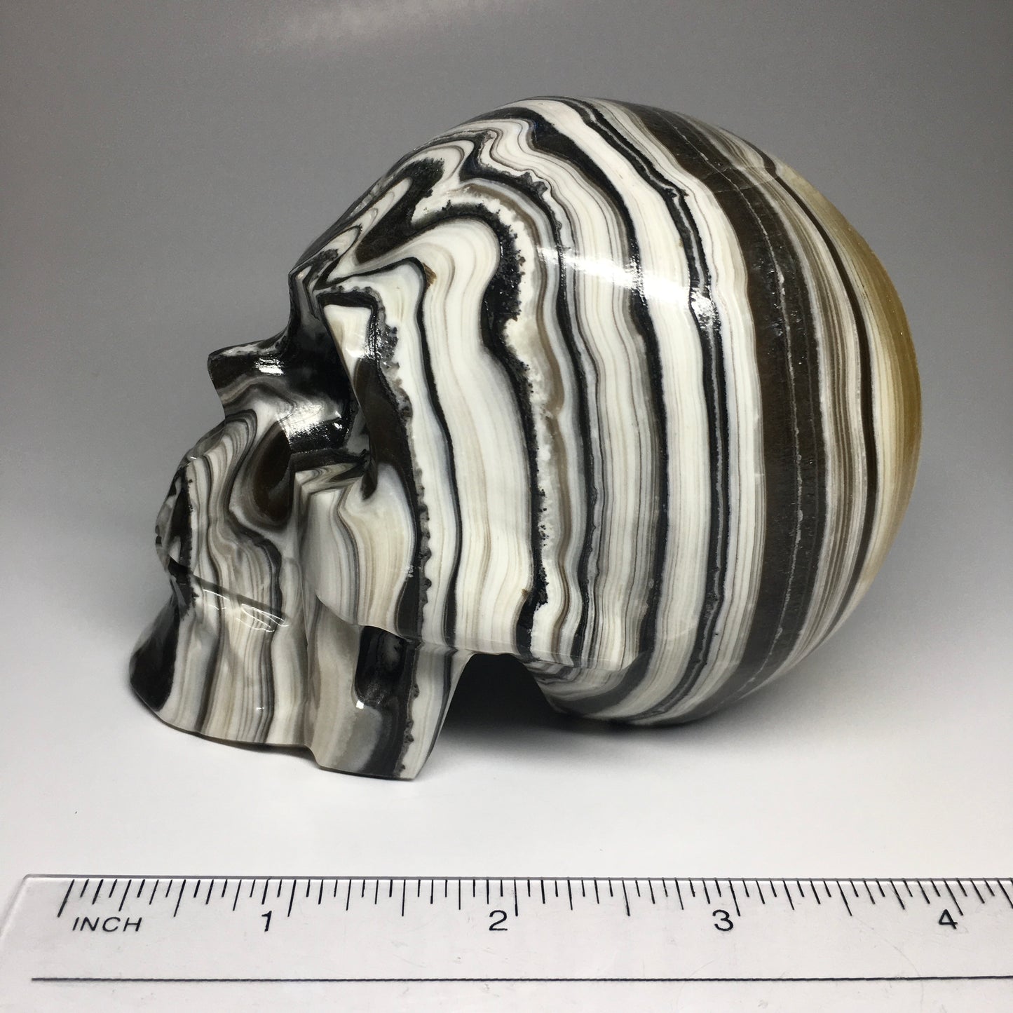 Zebra Onyx Aragonite Skull