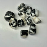 Zebra Jasper