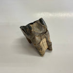 Woolly Rhinoceros Tooth