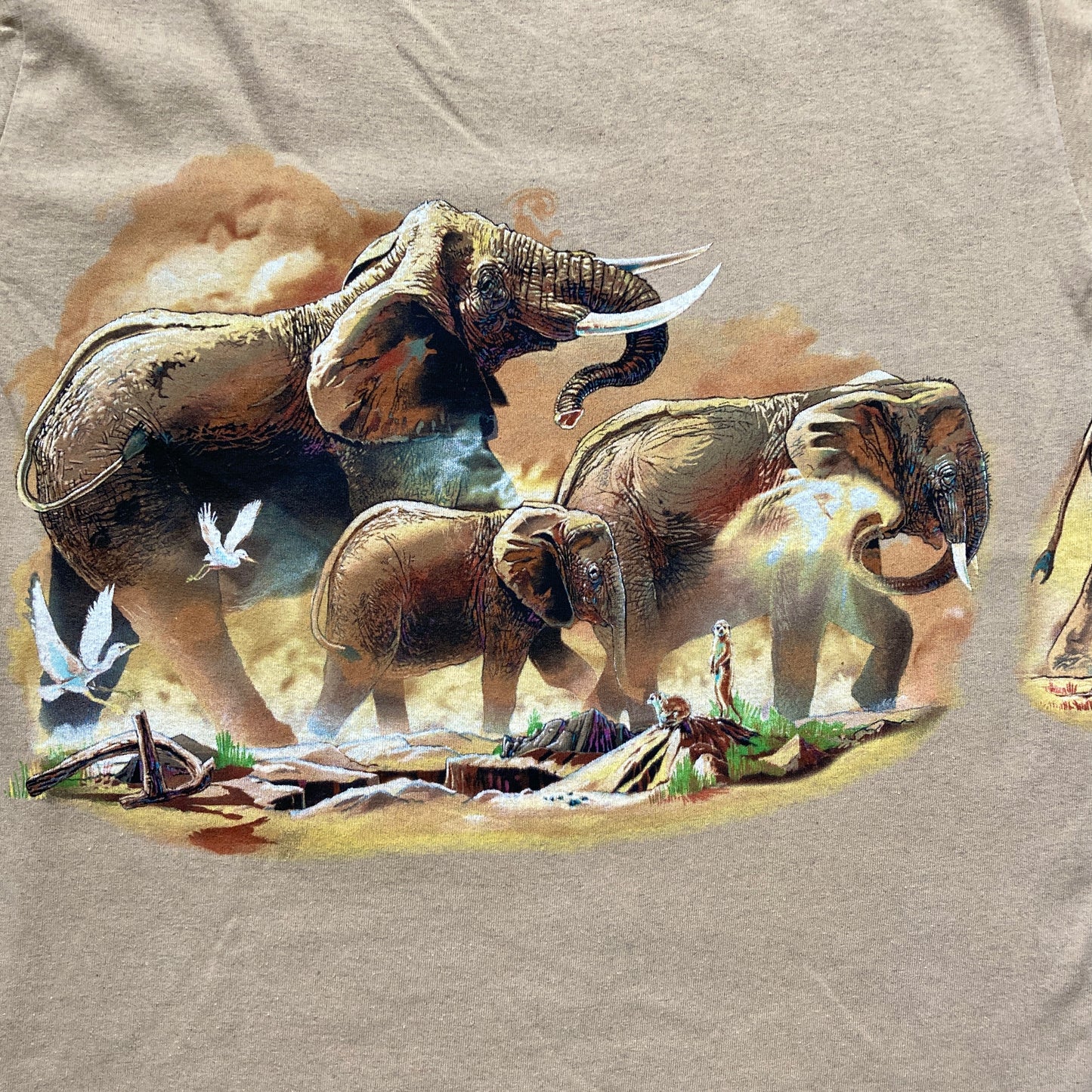 Two-Sided Elephants T-shirt, Adult