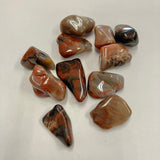 Petrified Wood